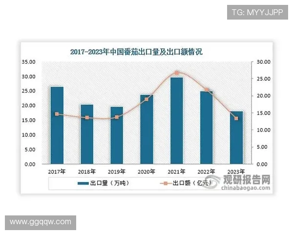北京极限运动队的运营模式与市场发展趋势深度解析